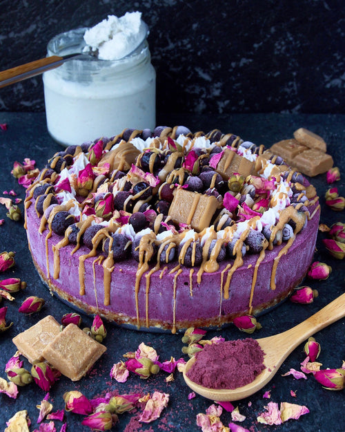 Blueberry Acai Cheesecake