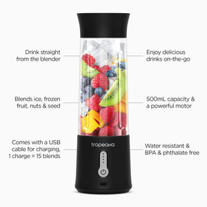 PORTABLE BLENDER