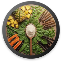 Digestive Support BlendDigestive Enzymes (Bromelain, Papain), Freeze Dried Aloe Vera Extract, Liquorice*