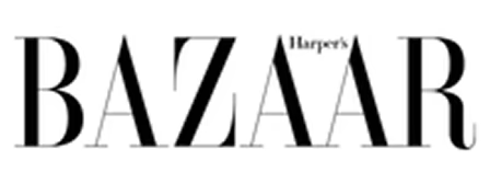 Company Logo Image 4