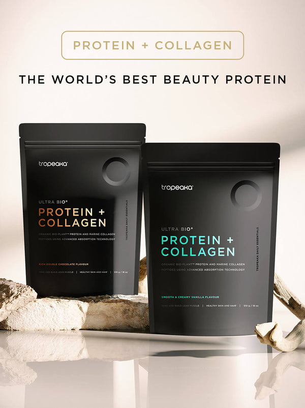 PROTEIN + COLLAGEN